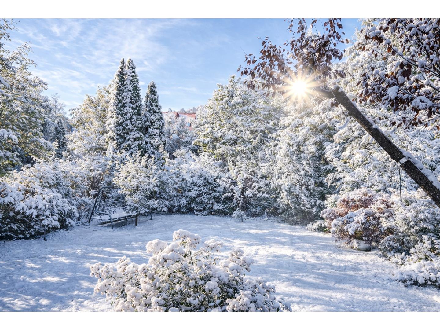 Eladó családi ház 280m2 Budapest, II. kerület Máriaremete