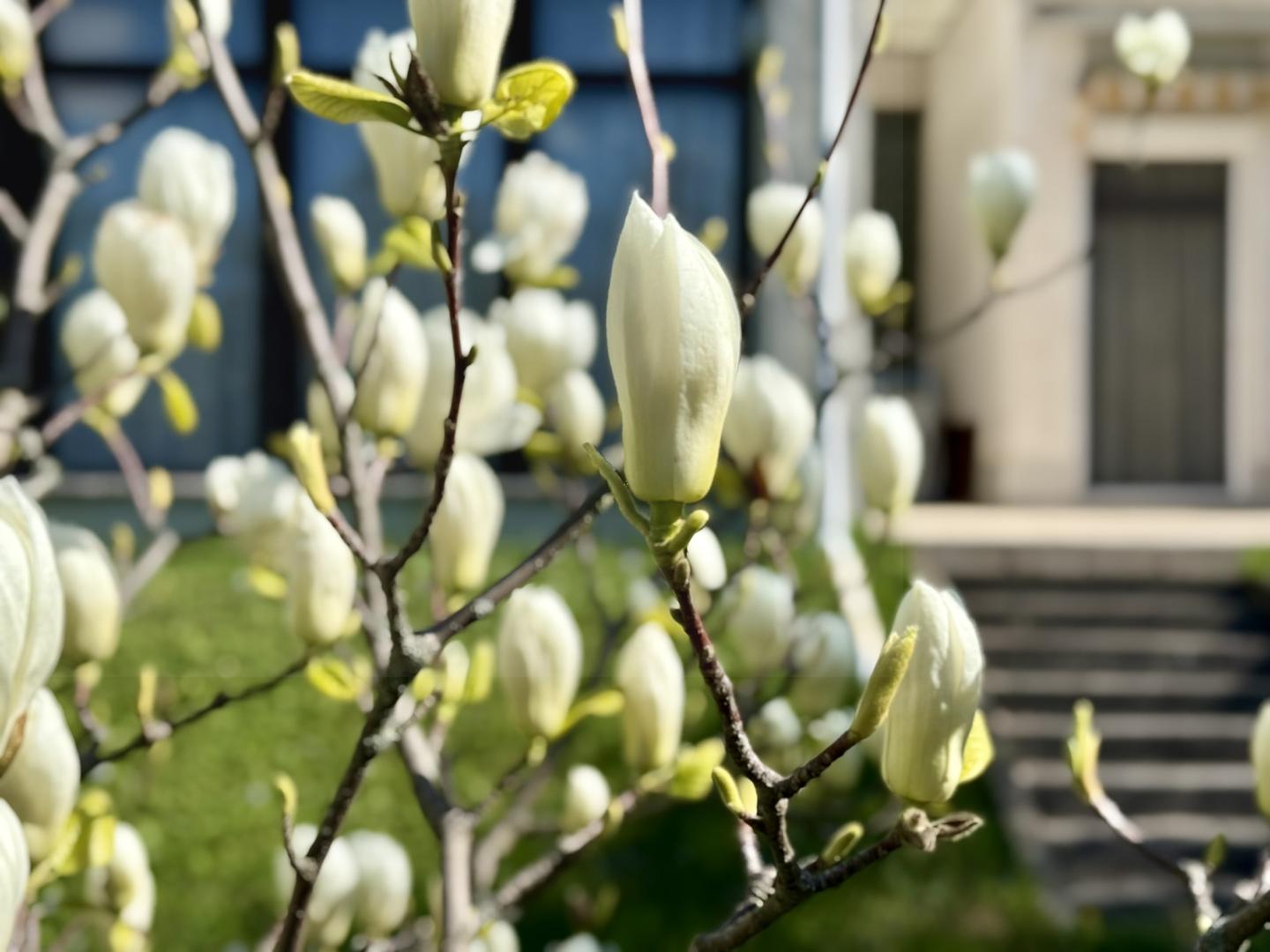 Eladó 2239m2 Budapest, XII. kerület 